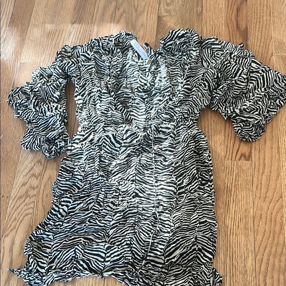 Zebra Print Ruched Dress